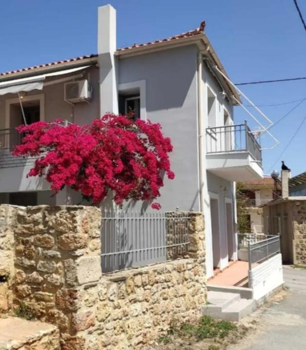 Artemis House Apartment Krokees Екстериор снимка